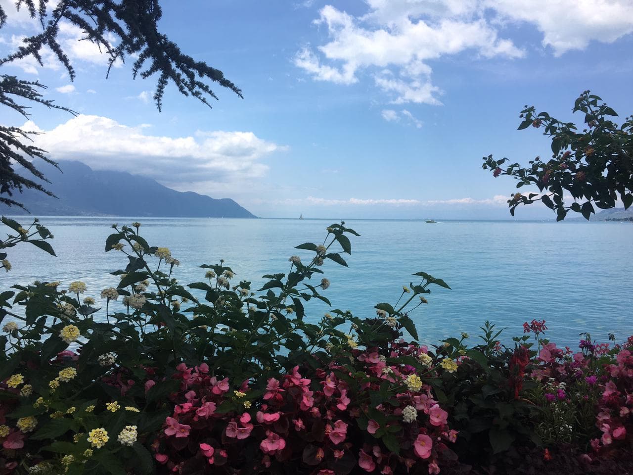 WhatsApp Image 2021-07-17 at 19.50.26.jpg