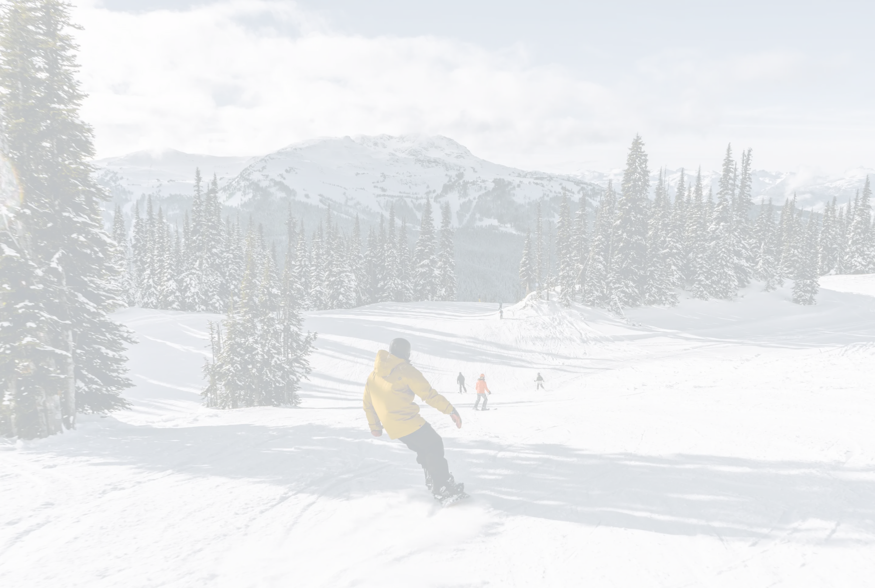 Alpine Experience 3